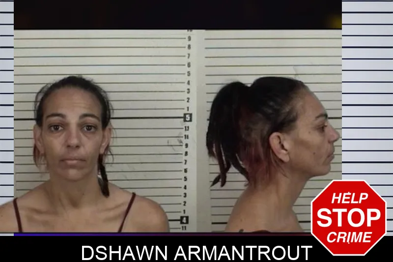 Dshawn Armantrout mugshot – Camden County , Georgia Dshawn Armantrout mugshot