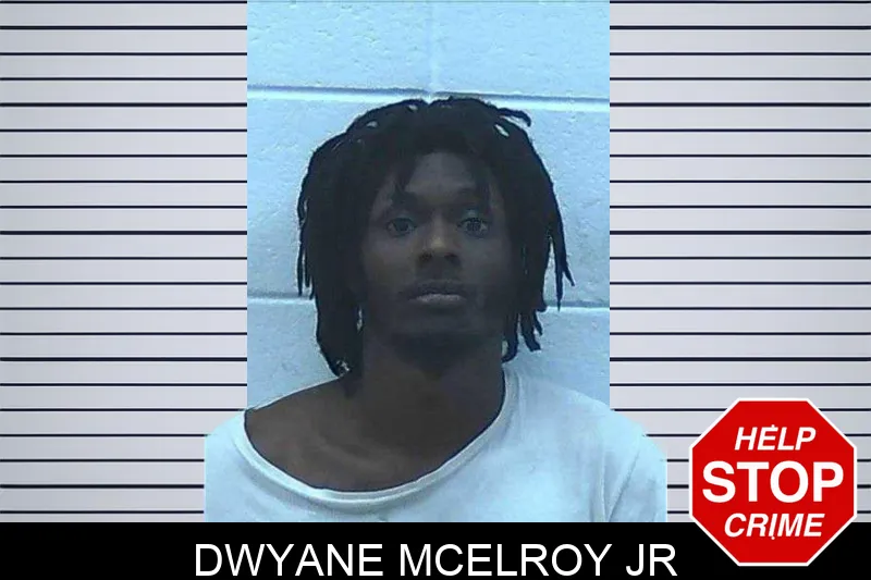Dwyane McElroy Jr mugshot