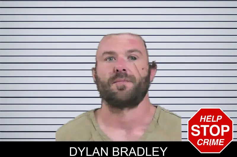 Dylan Bradley mugshot