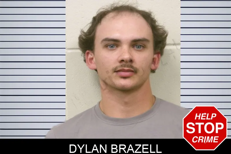Dylan Brazell mugshot – Bulloch County , Georgia Dylan Brazell mugshot