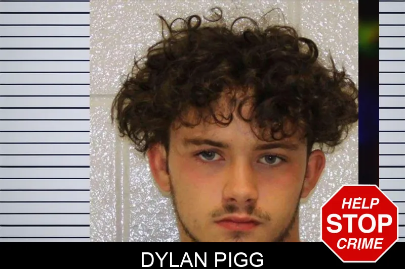 Dylan Pigg mugshot