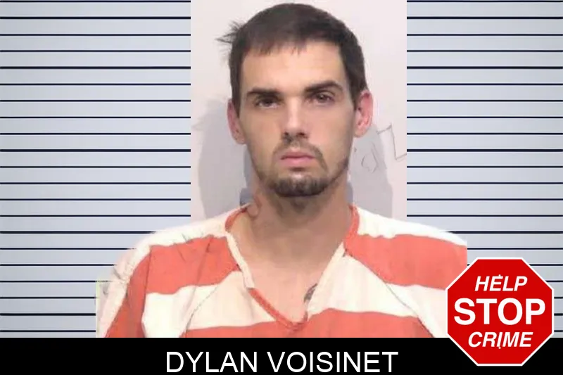 Dylan Voisinet mugshot – Bartow County , Georgia Dylan Voisinet mugshot