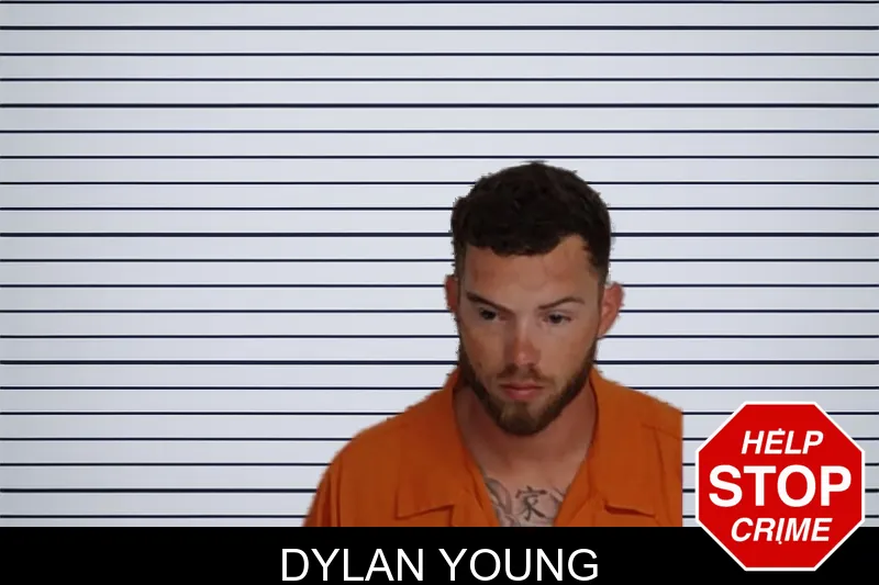 Dylan Young mugshot