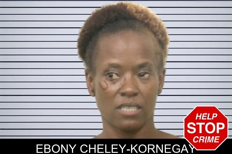 Ebony Cheley-Kornegay mugshot