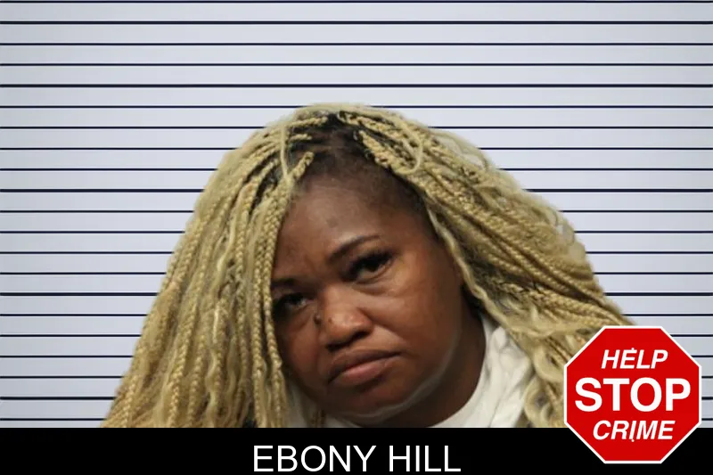 Ebony Hill mugshot – Chatham County , Georgia Ebony Hill mugshot