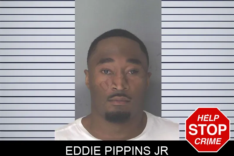 Eddie Pippins Jr mugshot