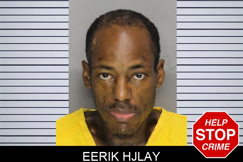 Eerik Hjlay mugshot