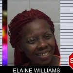 Elaine Williams mugshot – Laurens County , Georgia Elaine Williams mugshot