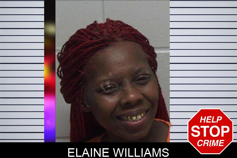 Elaine Williams mugshot – Laurens County , Georgia Elaine Williams mugshot