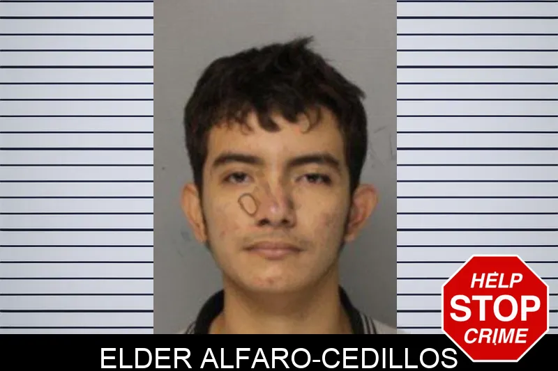 Elder Alfaro-Cedillos mugshot – Hall County , Georgia Elder Alfaro-Cedillos mugshot