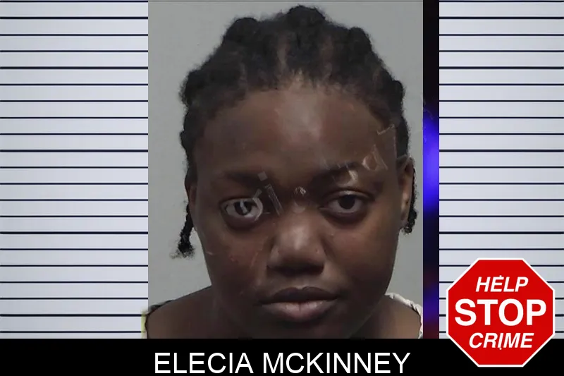 Elecia McKinney mugshot – Tift County , Georgia Elecia McKinney mugshot