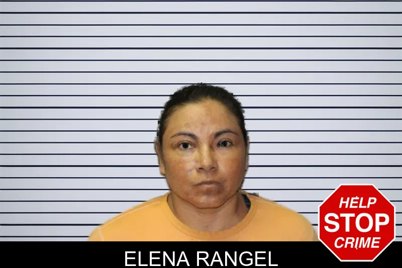 Elena Rangel mugshot