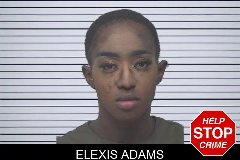 Elexis Adams mugshot – Gwinnett County , Georgia Elexis Adams mugshot