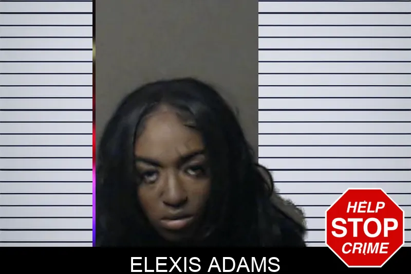 Elexis Adams mugshot – DeKalb County , Georgia Elexis Adams mugshot