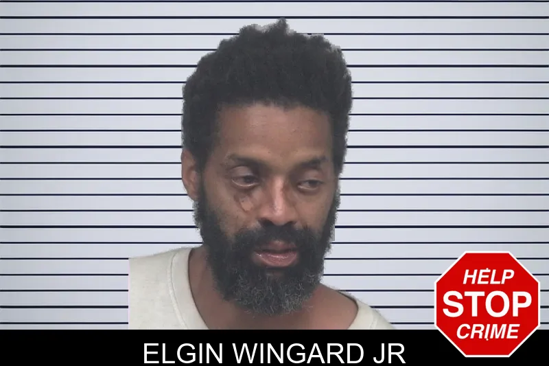 Elgin Wingard Jr mugshot