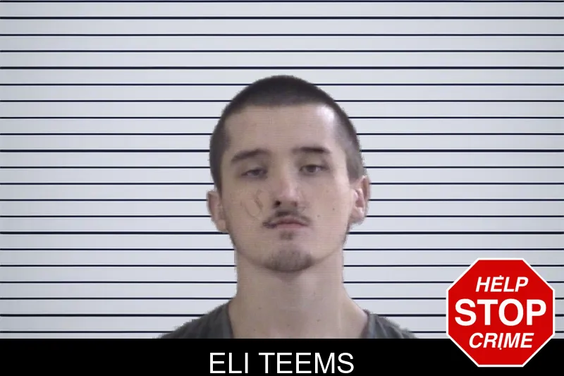 Eli Teems mugshot
