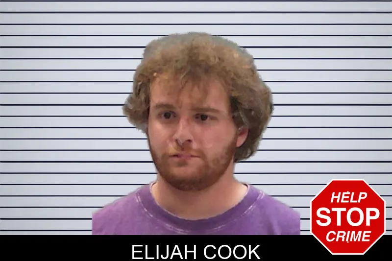 Elijah Cook mugshot
