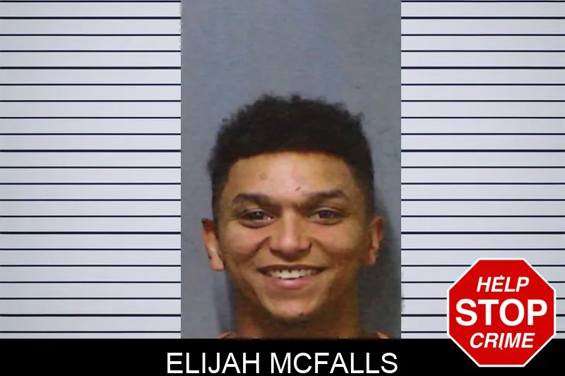 Elijah McFalls mugshot – White County , Georgia Elijah McFalls mugshot