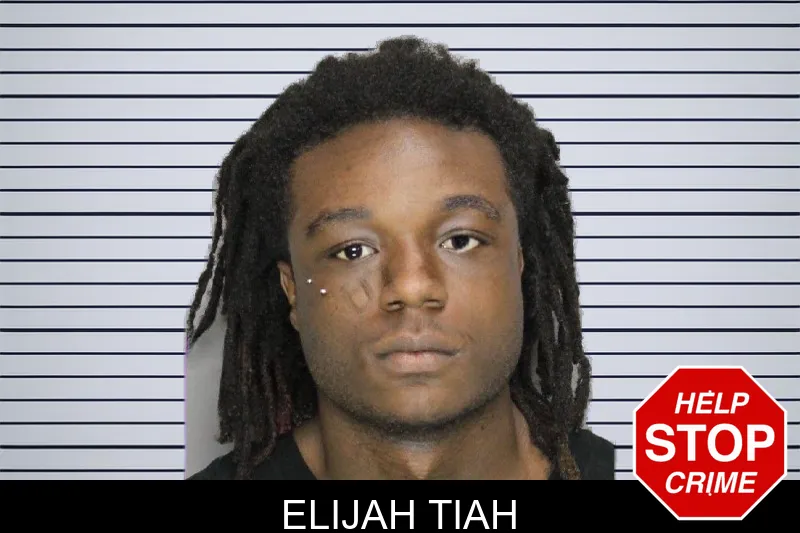 Elijah Tiah mugshot – Cobb County , Georgia Elijah Tiah mugshot