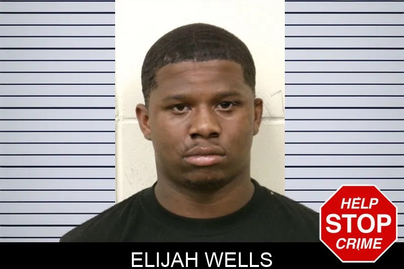 Elijah Wells mugshot – Bulloch County , Georgia Elijah Wells mugshot