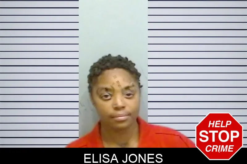 Elisa Jones mugshot – Fulton County , Georgia Elisa Jones mugshot