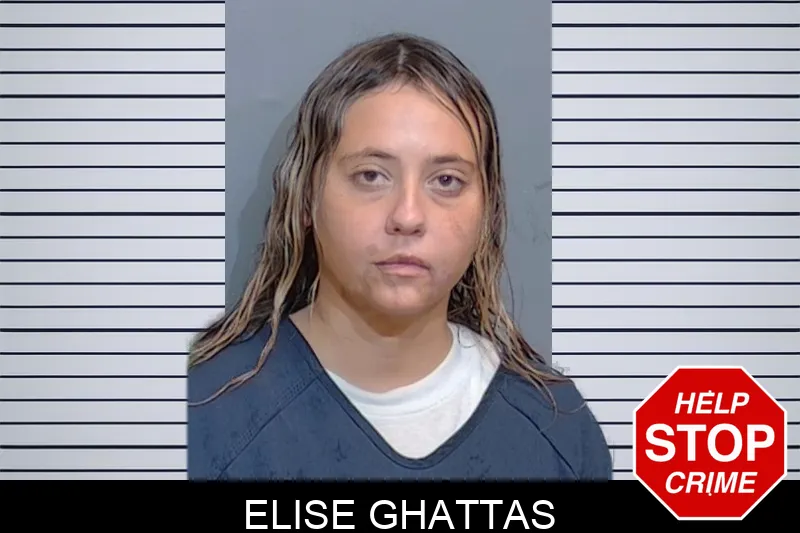 Elise Ghattas mugshot – Glynn County , Georgia Elise Ghattas mugshot