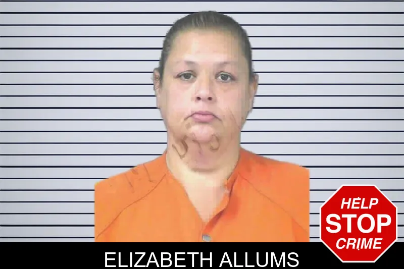 Elizabeth Allums mugshot – Mitchell County , Georgia Elizabeth Allums mugshot