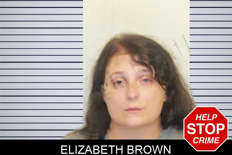 Elizabeth Brown mugshot – Chatham County , Georgia Elizabeth Brown mugshot