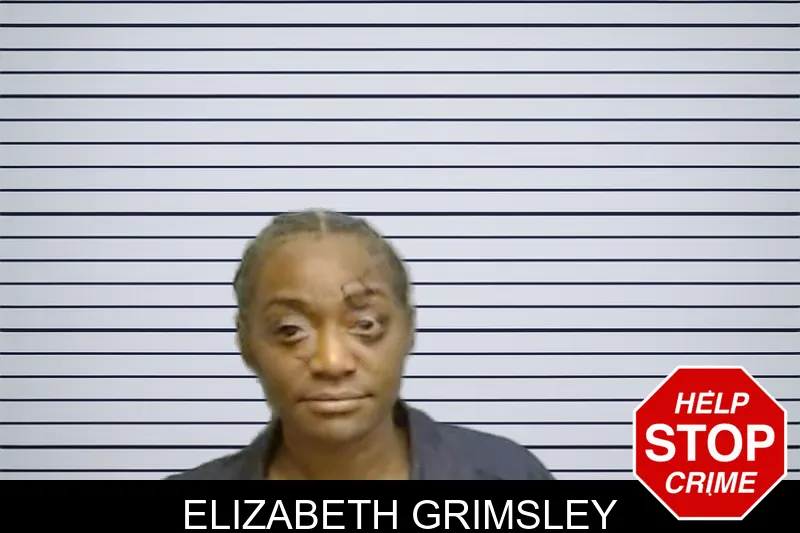 Elizabeth Grimsley mugshot – Fulton County , Georgia Elizabeth Grimsley mugshot