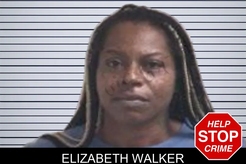 Elizabeth Walker mugshot – Henry County , Georgia Elizabeth Walker mugshot