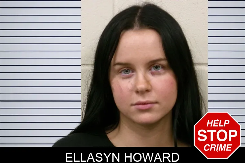 Ellasyn Howard mugshot – Bulloch County , Georgia Ellasyn Howard mugshot