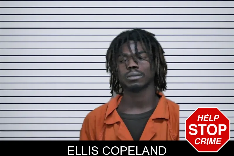 Ellis Copeland mugshot – Ben Hill County , Georgia Ellis Copeland mugshot