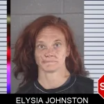 Elysia Johnston mugshot – Spalding County , Georgia Elysia Johnston mugshot