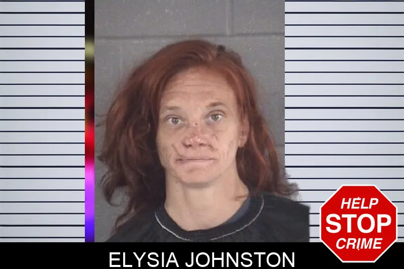 Elysia Johnston mugshot – Spalding County , Georgia Elysia Johnston mugshot