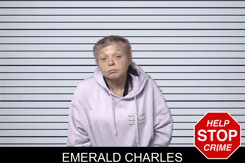 Emerald Charles mugshot – DeKalb County , Georgia Emerald Charles mugshot