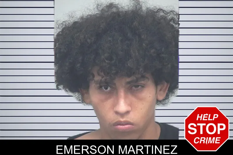 Emerson Martinez mugshot