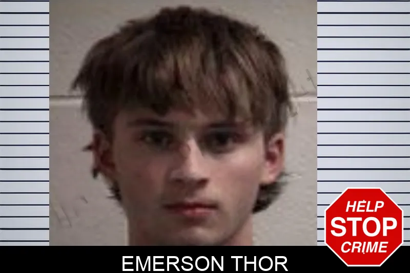 Emerson Thor mugshot – Henry County , Georgia Emerson Thor mugshot