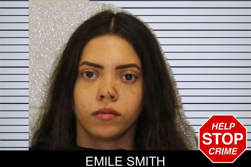 Emile Smith mugshot – Carroll County , Georgia Emile Smith mugshot