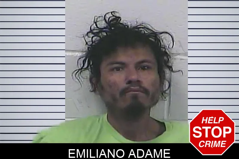 Emiliano Adame mugshot – Dawson County , Georgia Emiliano Adame mugshot