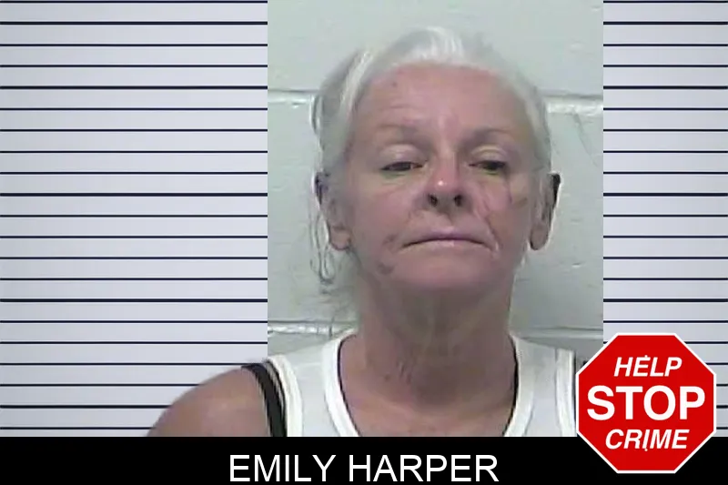 Emily Harper mugshot – Dawson County , Georgia Emily Harper mugshot