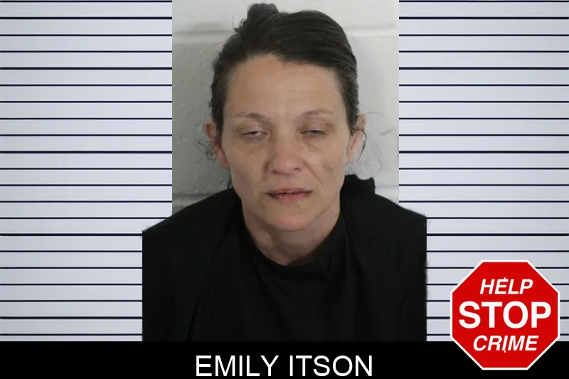Emily Itson mugshot – Floyd County , Georgia Emily Itson mugshot