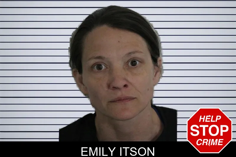Emily Itson mugshot – Floyd County , Georgia Emily Itson mugshot