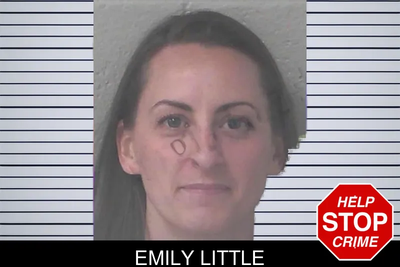 Emily Little mugshot