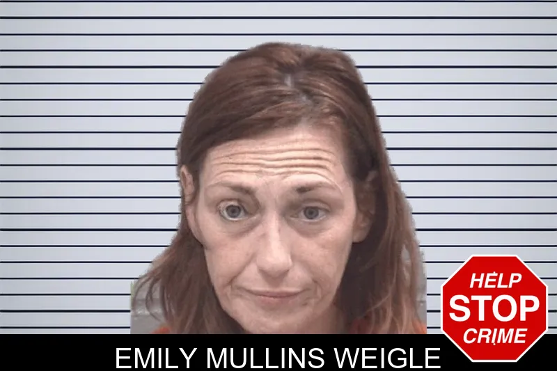 Emily Mullins Weigle mugshot – Columbia County , Georgia Emily Mullins Weigle mugshot