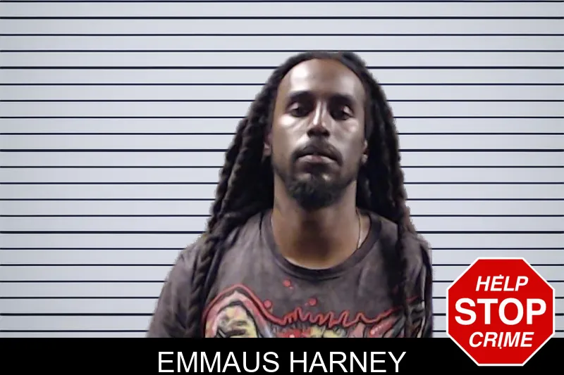 Emmaus Harney mugshot – DeKalb County , Georgia Emmaus Harney mugshot