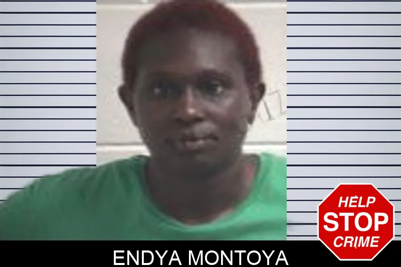 Endya Montoya mugshot