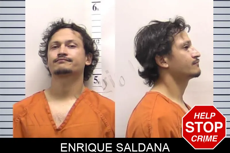 Enrique Saldana mugshot