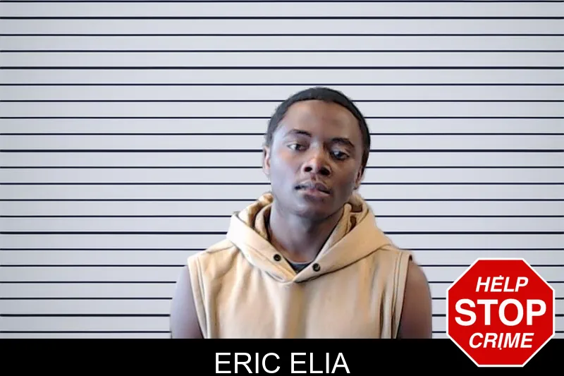 Eric Elia mugshot – DeKalb County , Georgia Eric Elia mugshot