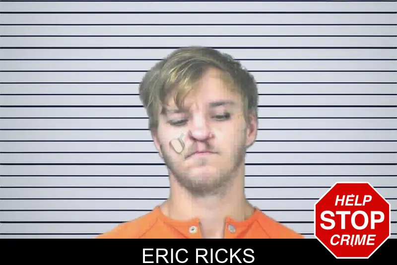 Eric Ricks mugshot – Mitchell County , Georgia Eric Ricks mugshot