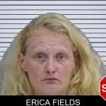 Erica Fields mugshot